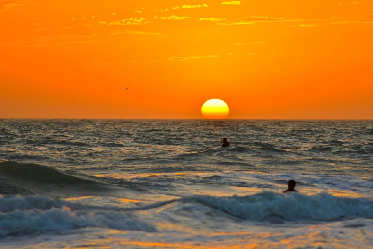Anna Maria Island Beach Palms 7A Bradenton Beach Dış mekan fotoğraf
